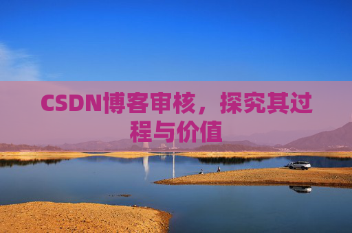 CSDN博客审核，探究其过程与价值